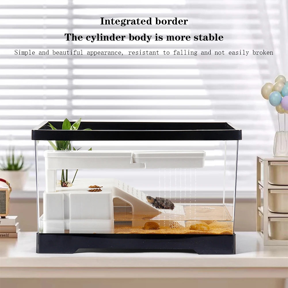 Grote transparante schildpadta - Box Fish In Aquarium recensie en prijs