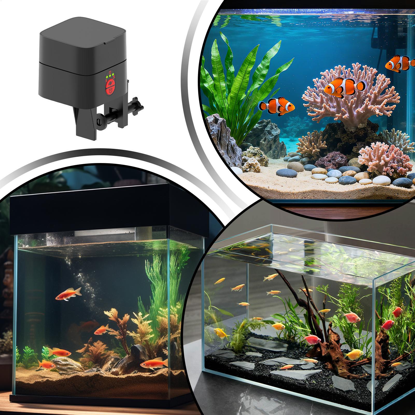 Automatische visvoederautomaat - Aquarium Fish Jar recensie en prijs