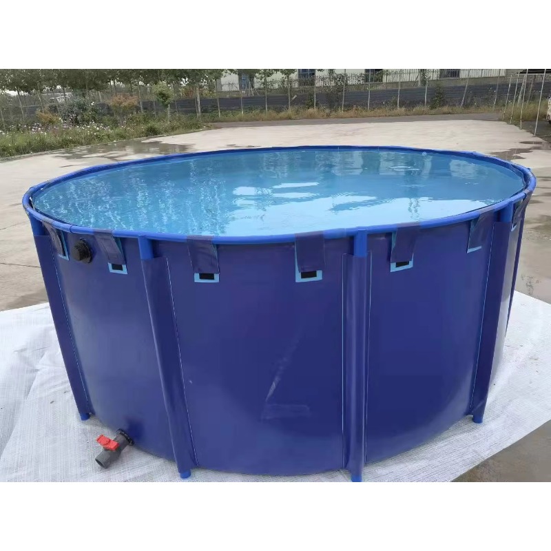 Groothandel op maat gemaakte g - Aquarium Fish Big Size recensie en prijs