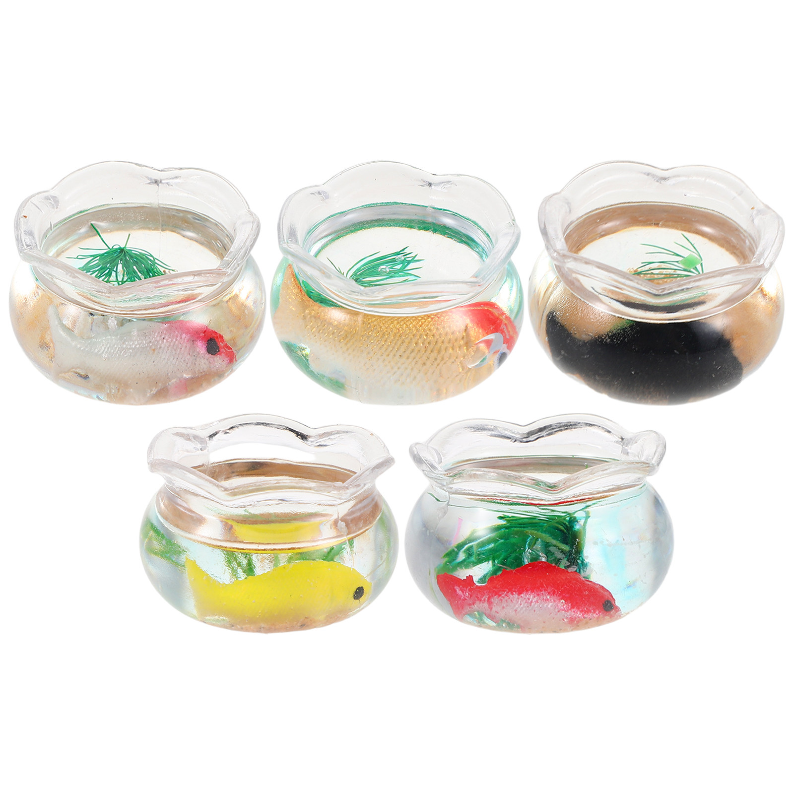 5-delige mini-viskom, kleine r - Aquarium Fish Small recensie en prijs